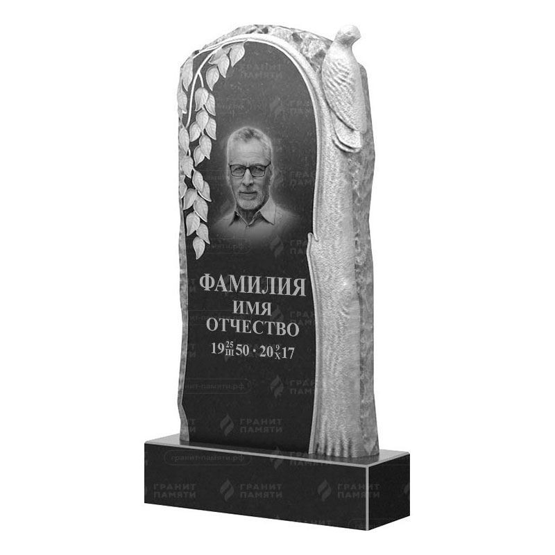 Гранитные памятники в Сургуте | Гранитный памятник ФГ-206